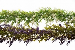 033 veštačke lozice